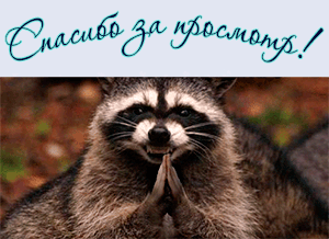 Енот-благодарун!