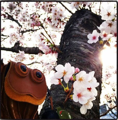 Необычные сумки-рыбы