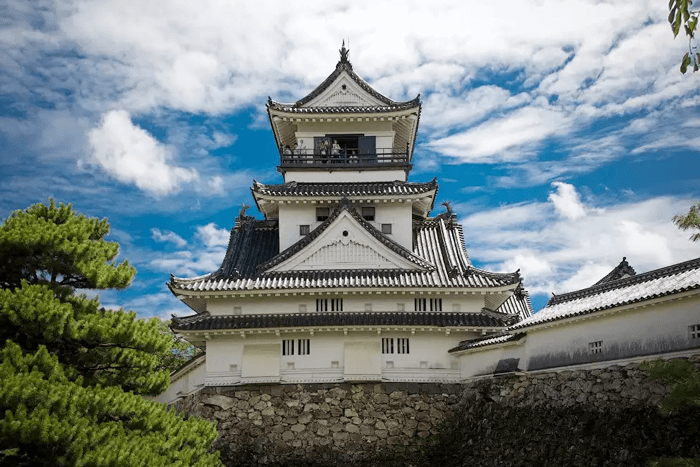 Биография SAKURA555