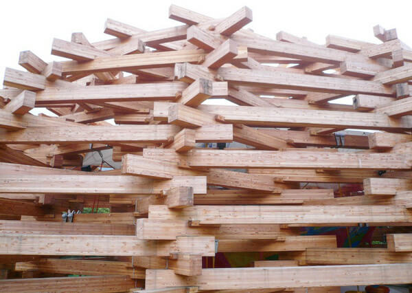 Лесные сети