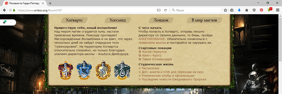 Ролевая игра по Гарри Поттеру